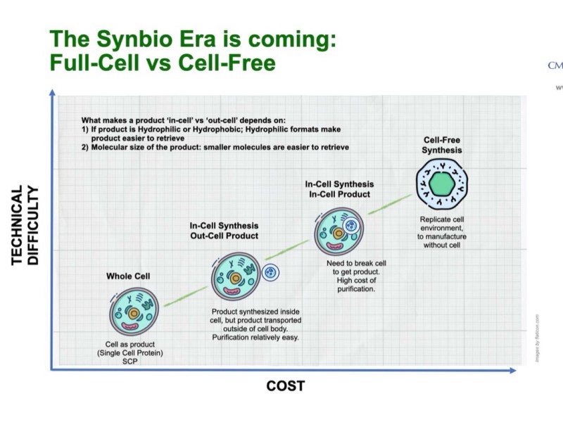 What does the future of bio-friendly materials look like?